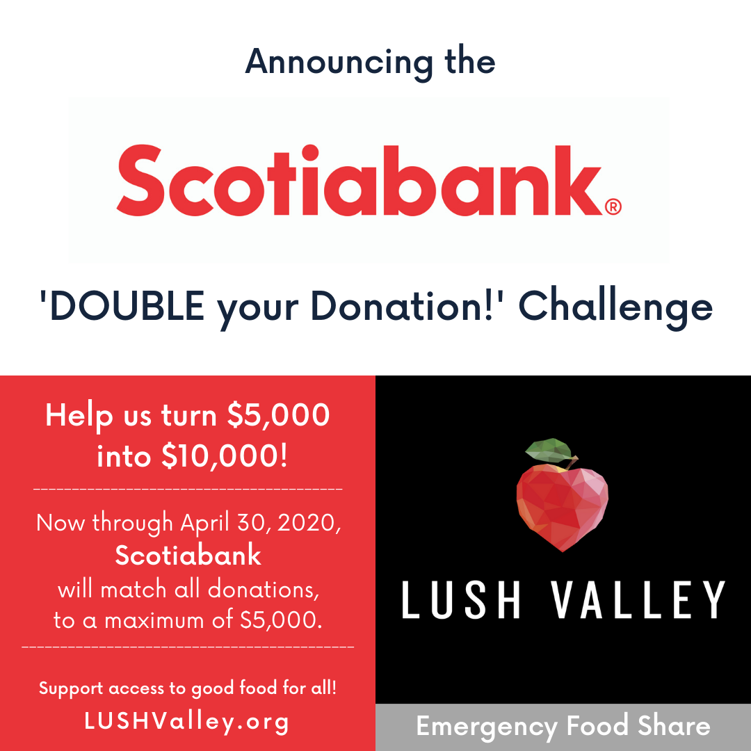 Scotiabank Matching Campaign