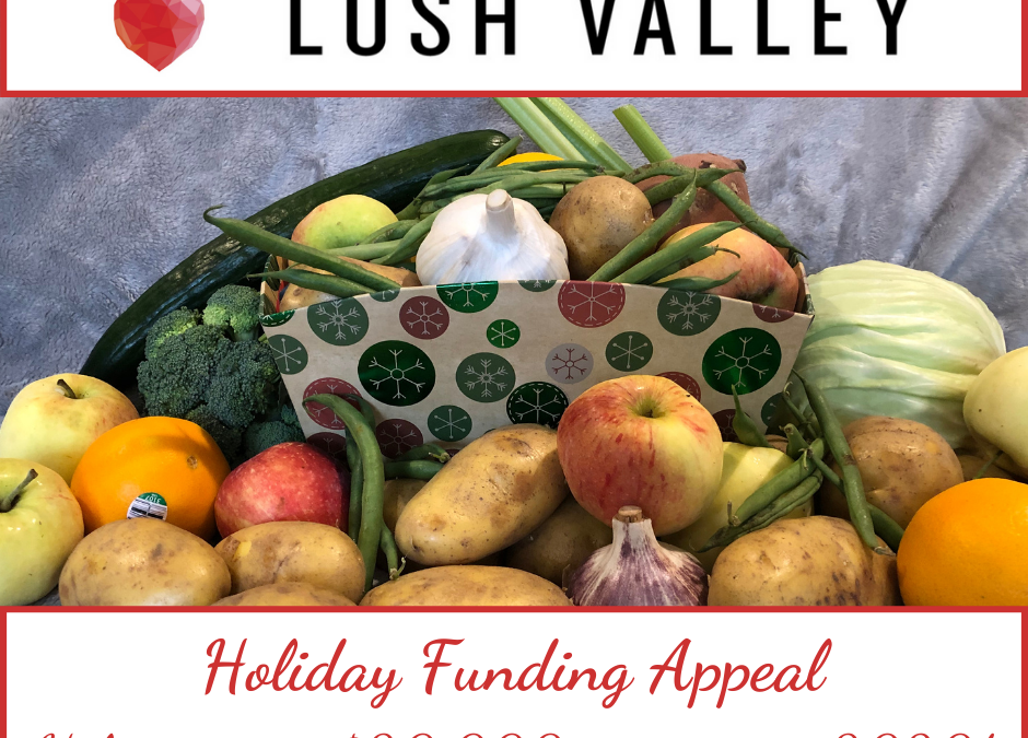 Holiday Funding Appeal