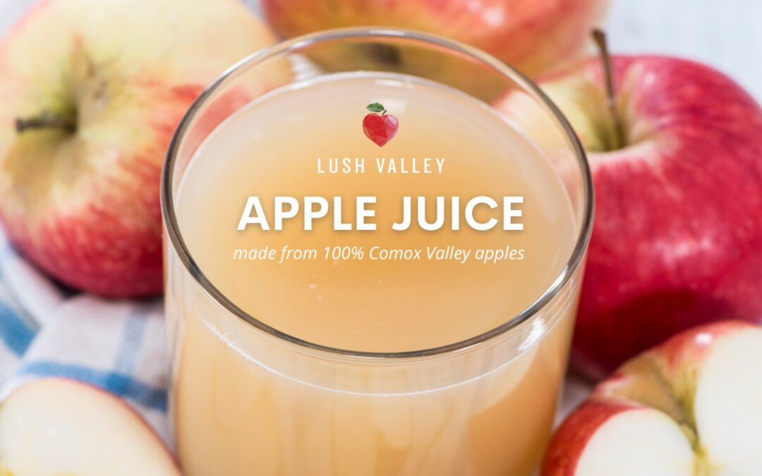 lush valley apple juice is back