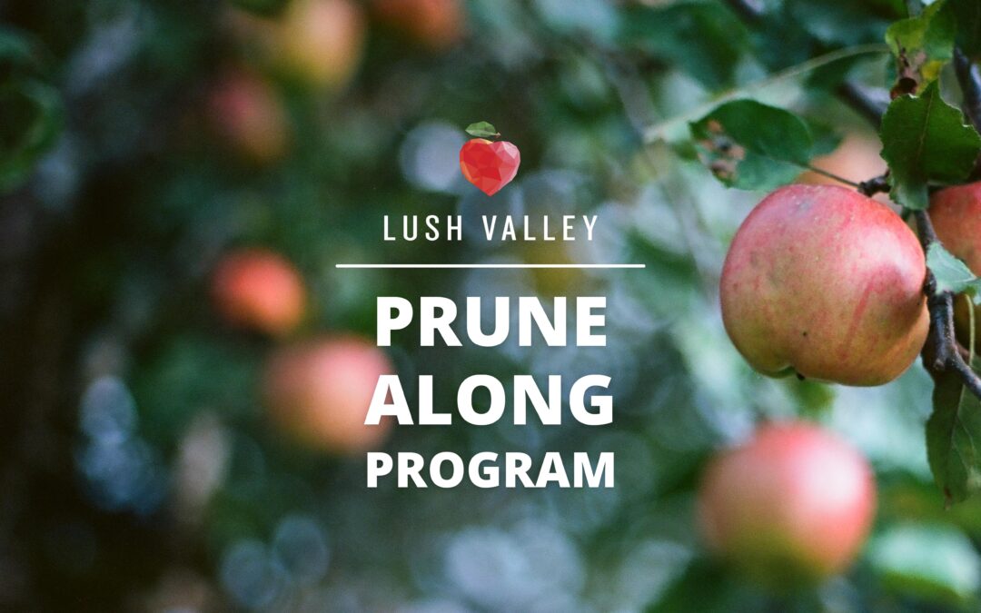 LUSH Valley’s Prune-Along Program is back for a third season