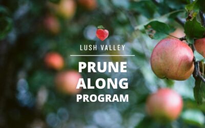 LUSH Valley’s Prune-Along Program is back for a third season!
