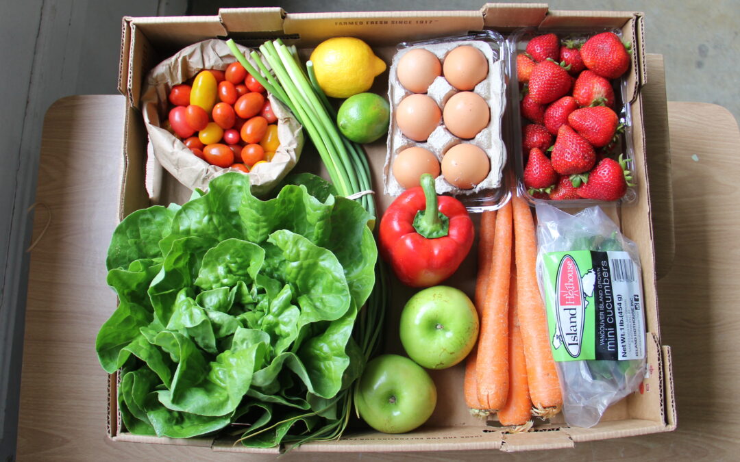 Good Food Box update: summer Subscriptions now available