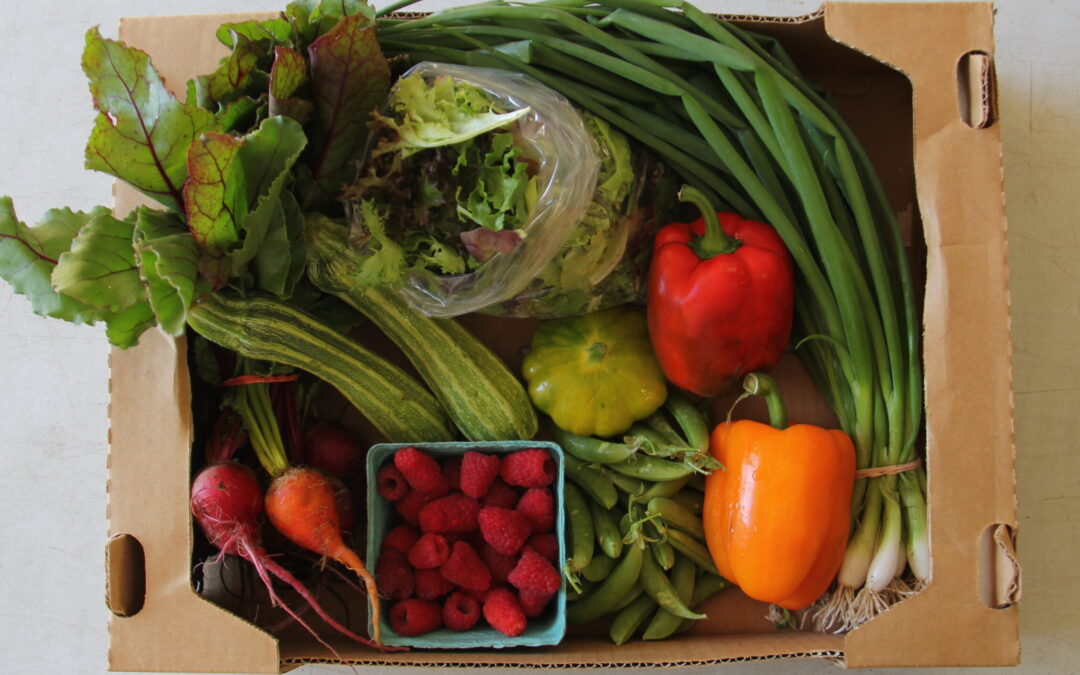 Back by popular demand: Autumn Subscriptions to the Good Food Box