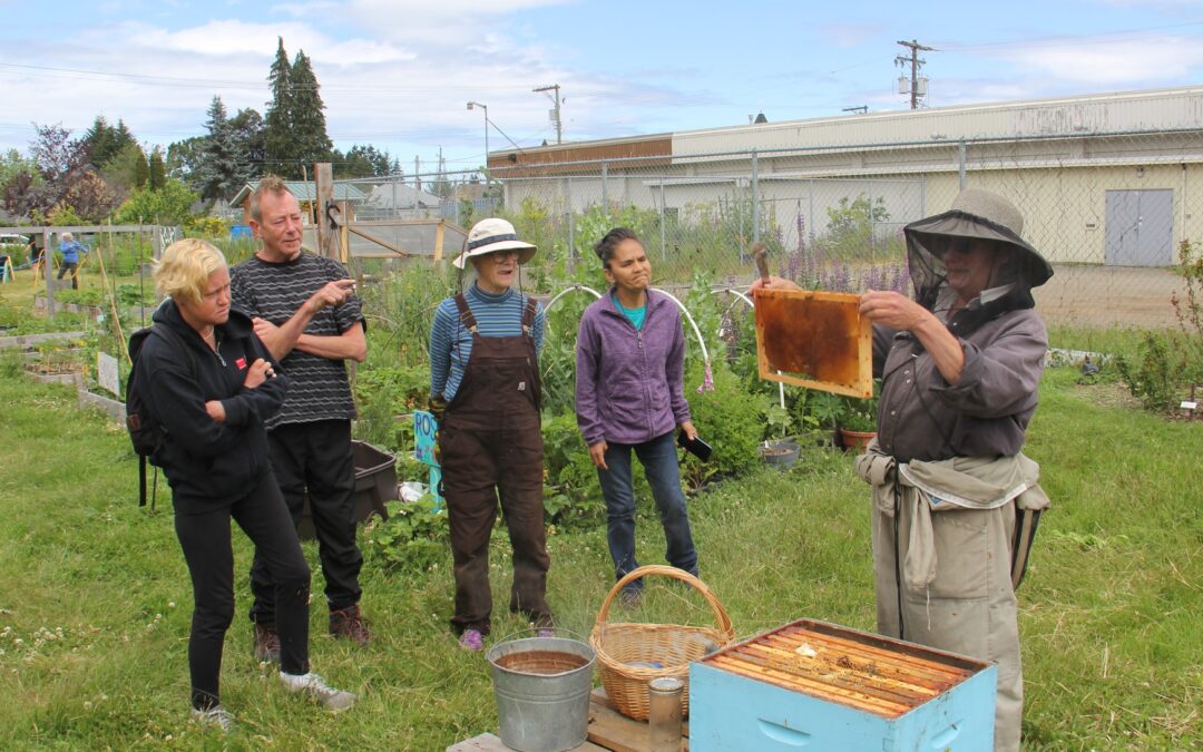 BEEKEEPING IN THE SHARE THE HARVEST GARDEN