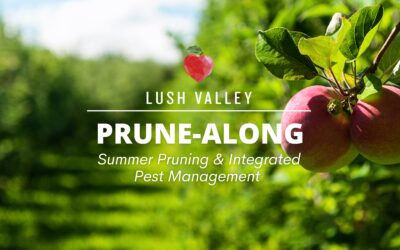 New branch of Prune-Along: Summer Pruning & Pest Management