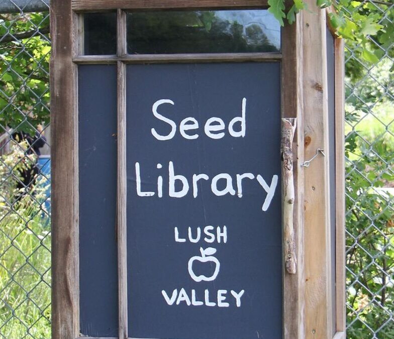All you need are seeds: community seed libraries are back
