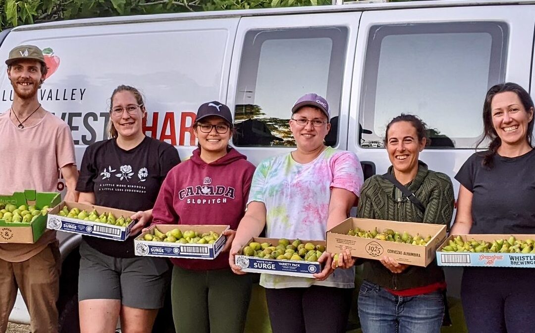Grade-A Season for the Fruit Tree Program