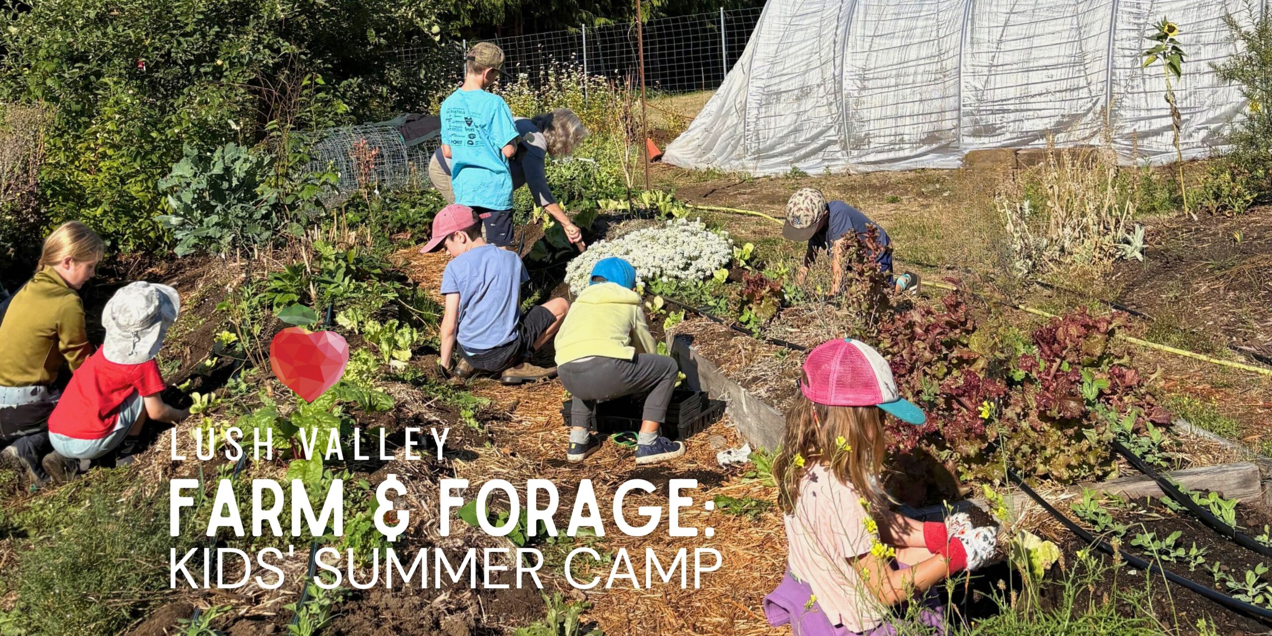 2026 Farm & Forage Banner